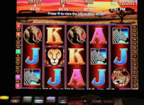 ky9555cc开元免费版