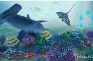 ky9555cc开元2024最新版